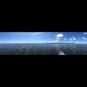 Meet your Posher, Ariana